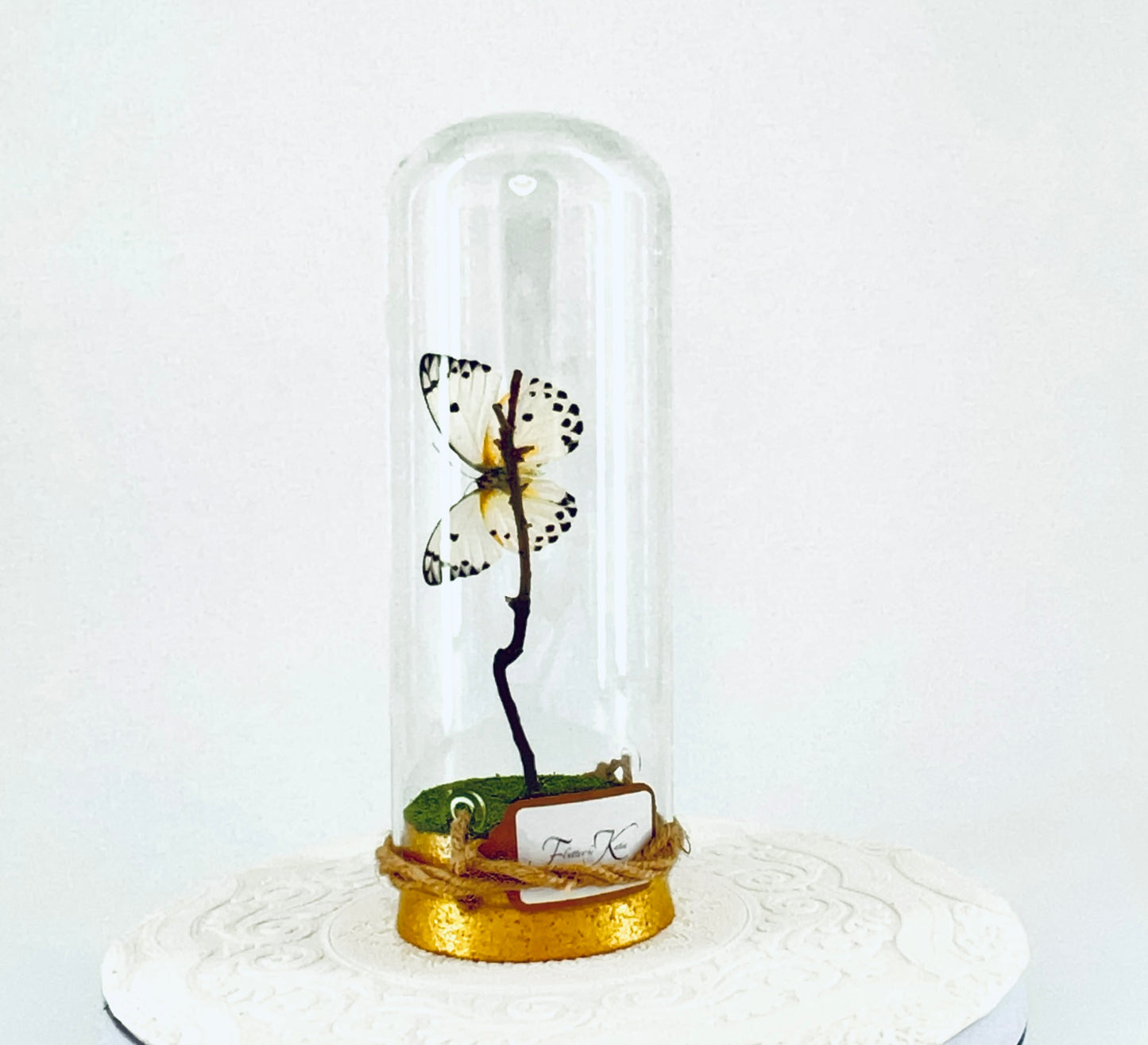 Pendant | Calypso Butterfly | White w/ Black Spots | Tabletop or Hanging Display