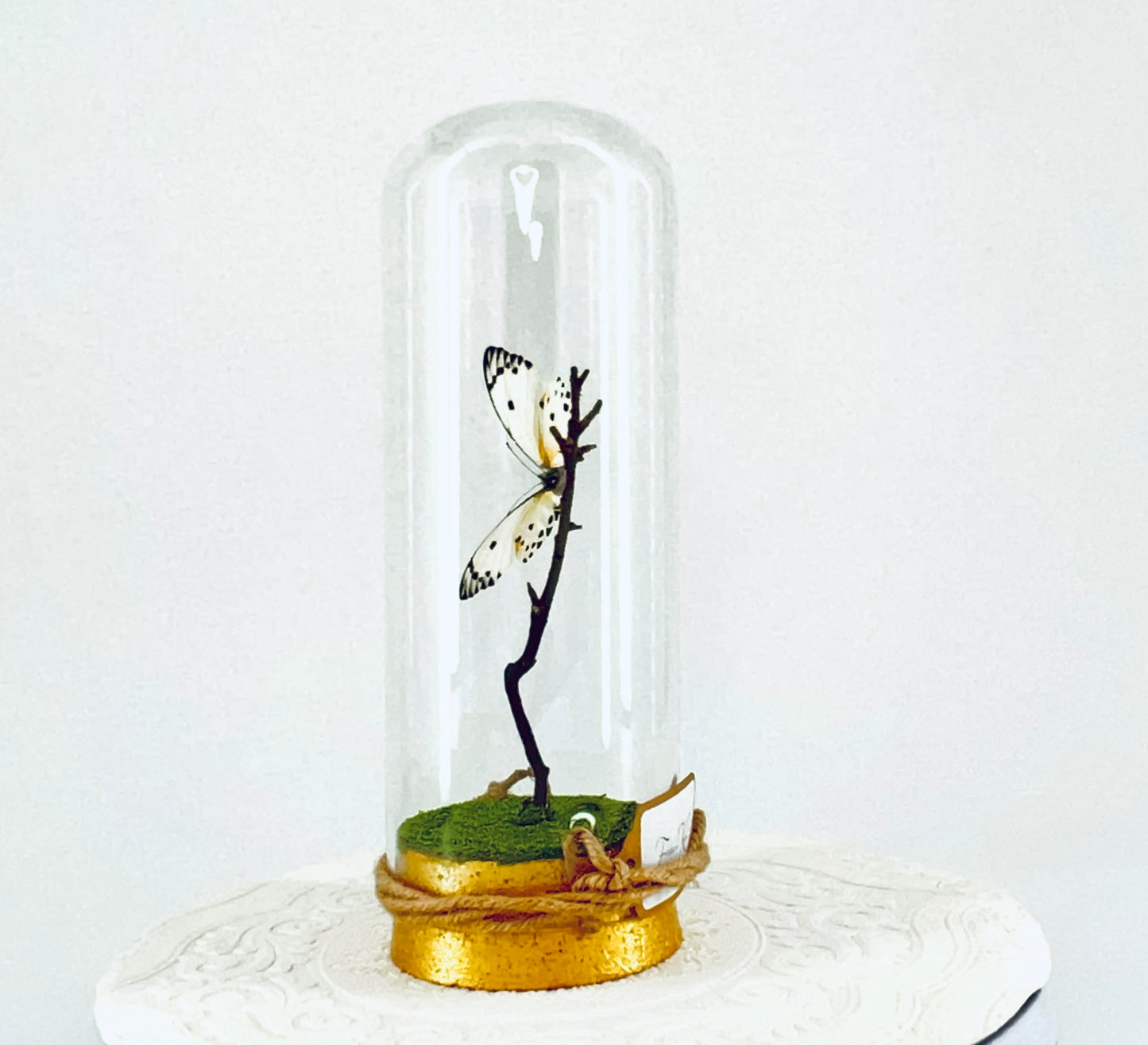 Pendant | Calypso Butterfly | White w/ Black Spots | Tabletop or Hanging Display