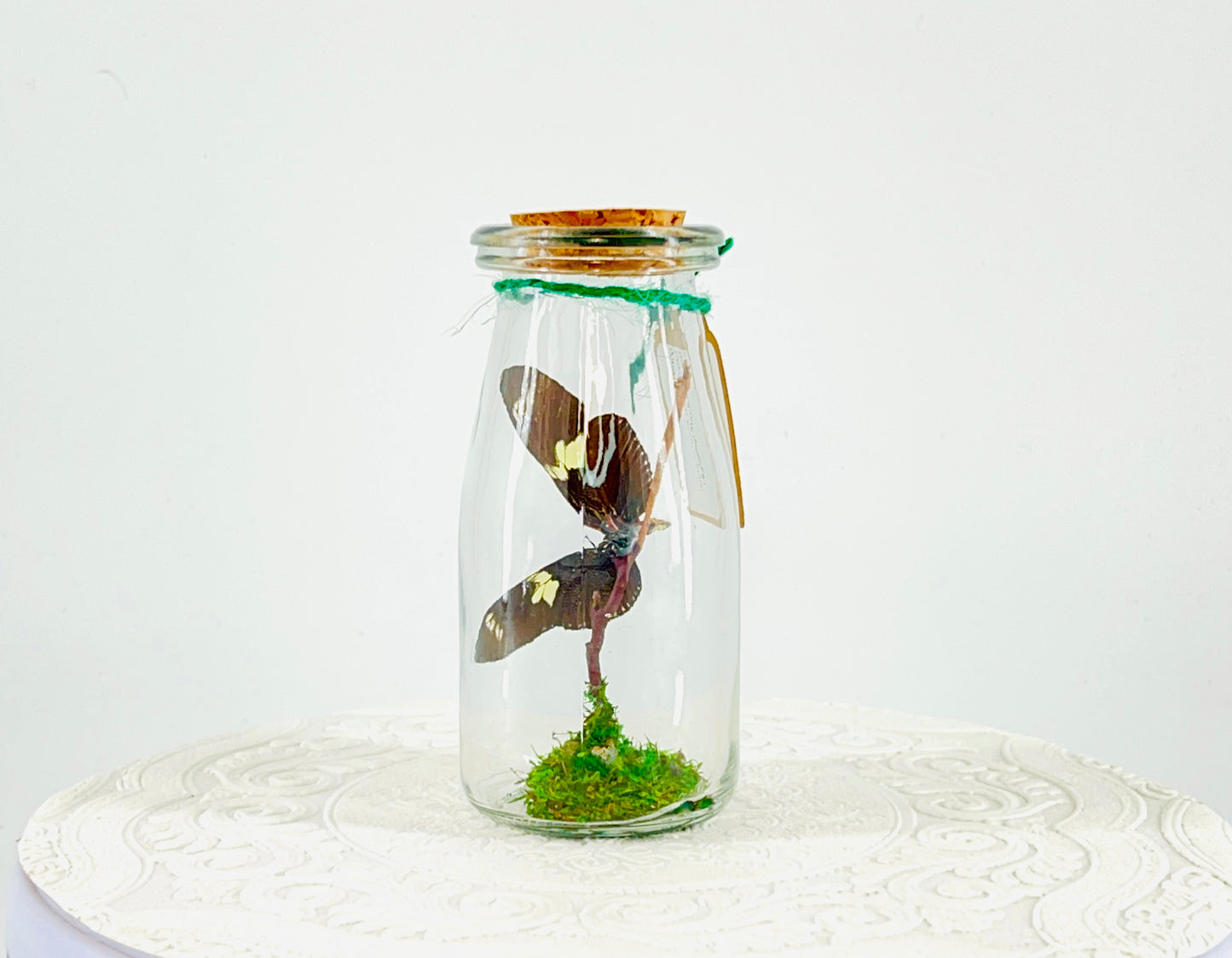 Accent | Centerpiece | Doris Longwing | Blue Yellow | Flutter by Katie | Handmade Butterfly Sculpture Art | Home Decor | Central America