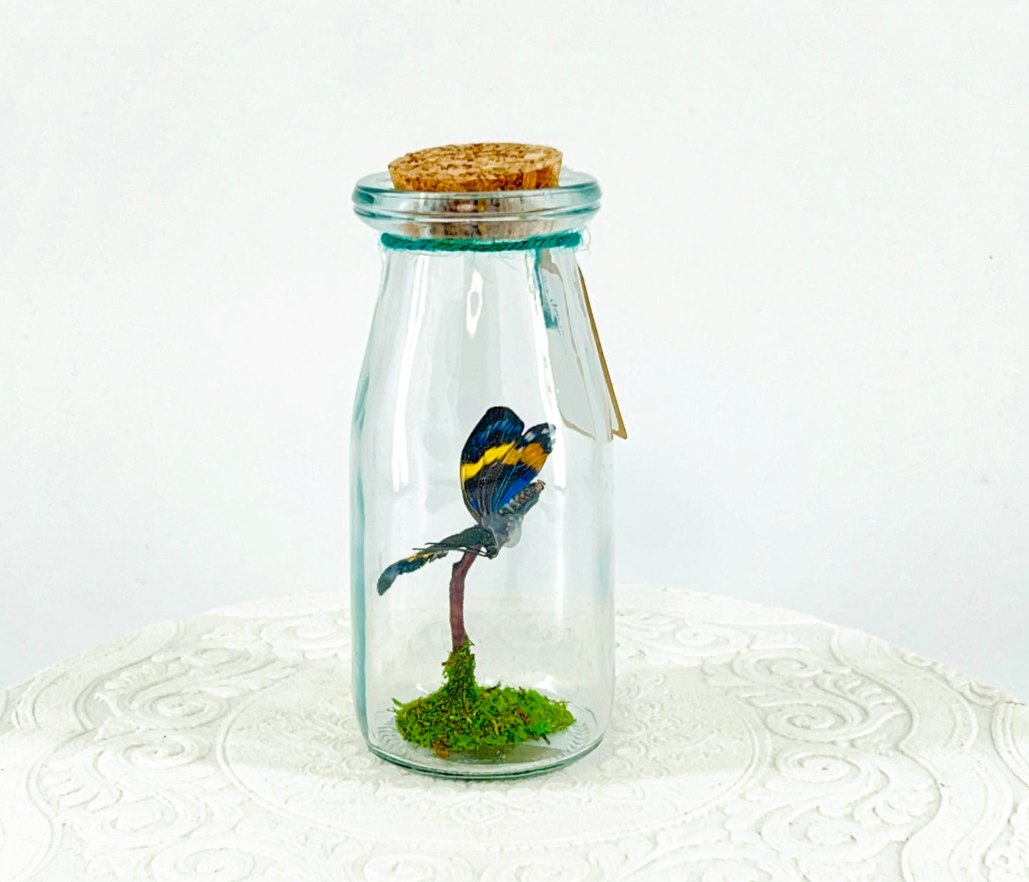 Accent Jar | Day Moth | Green Black Yellow | Tabletop Display