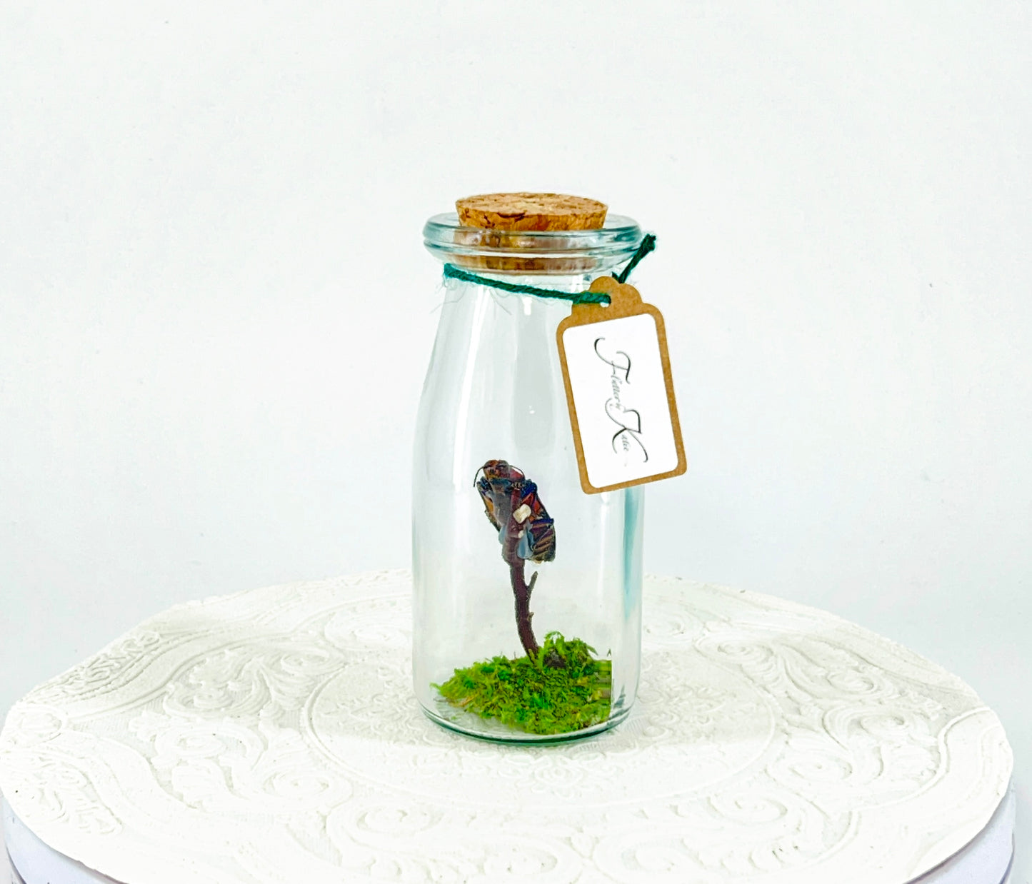 Accent Jar | Red Speckled Jewel Bettle | Red Yellow Blue | Tabletop Display