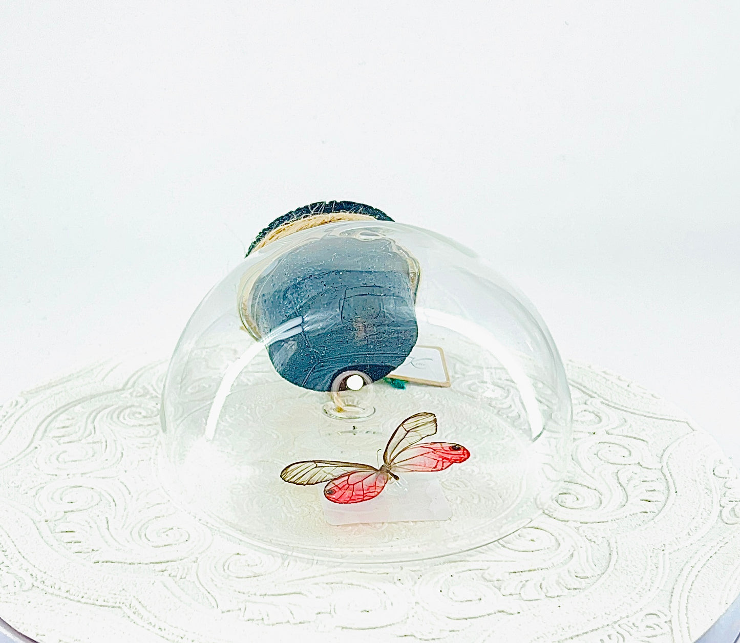 Droplet | Pink Glasswing | Pink Translucent | Tabletop or Wall Hanging Display