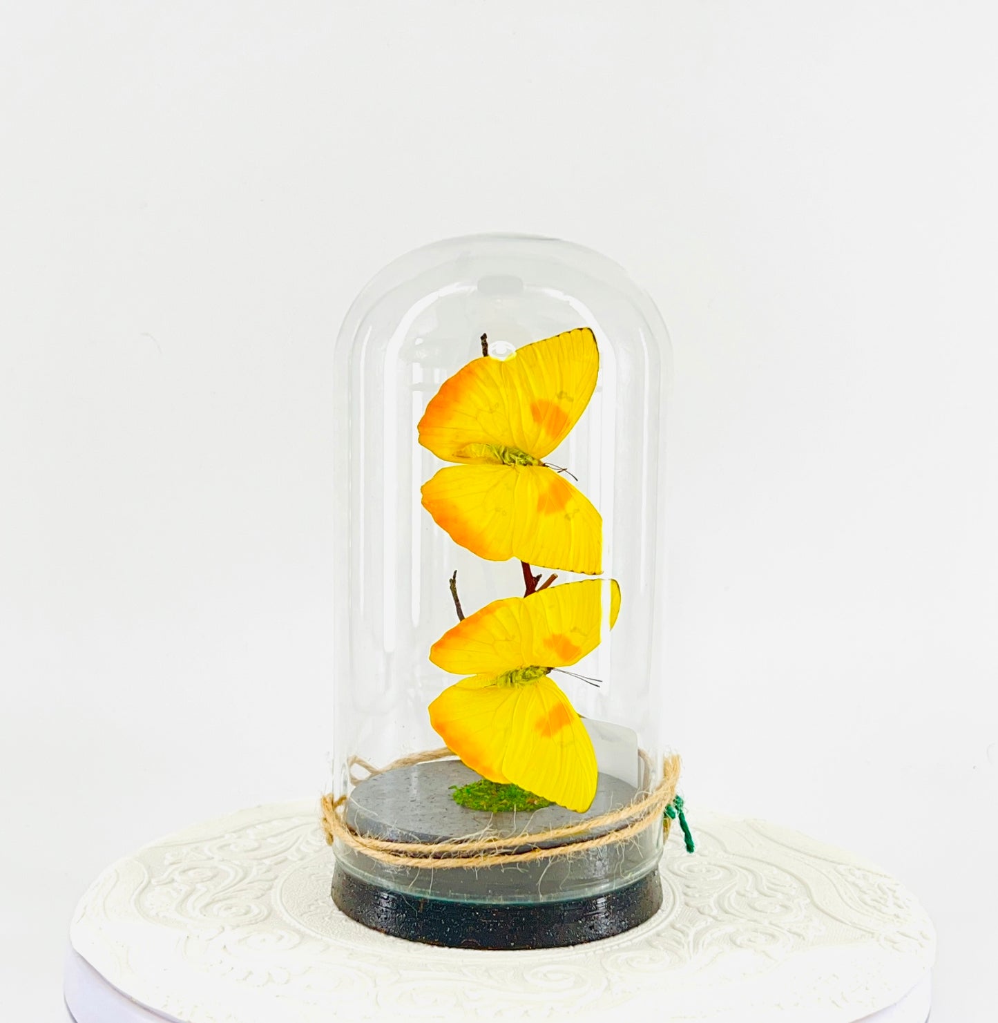 Large Pendant | Hanging or Tabletop Centerpiece | Orange-barred Sulphur | Yellow Orange | Flutter by Katie | Handmade Butterfly Sculpture Art | Home Decor | North America