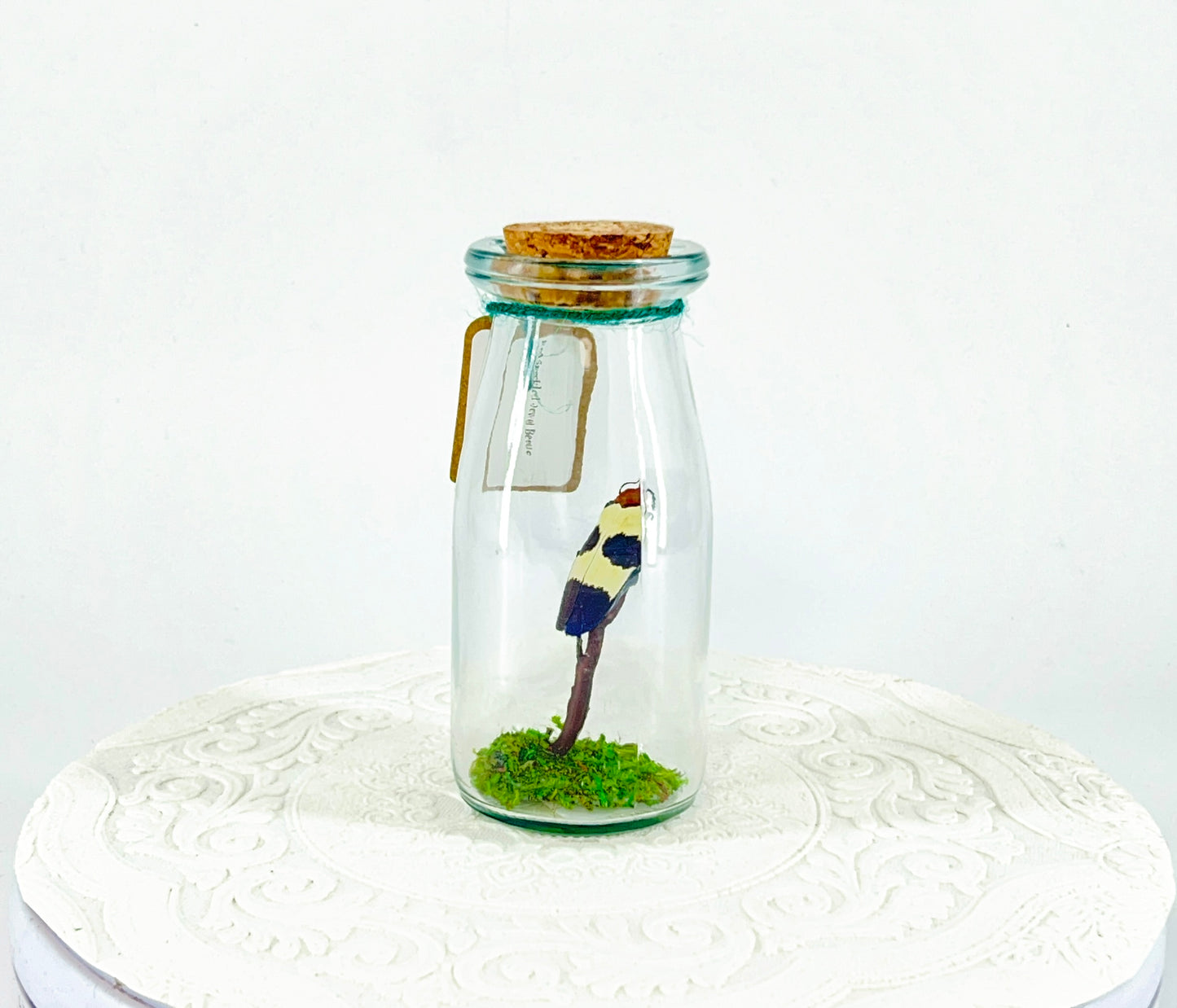 Accent Jar | Red Speckled Jewel Bettle | Red Yellow Blue | Tabletop Display