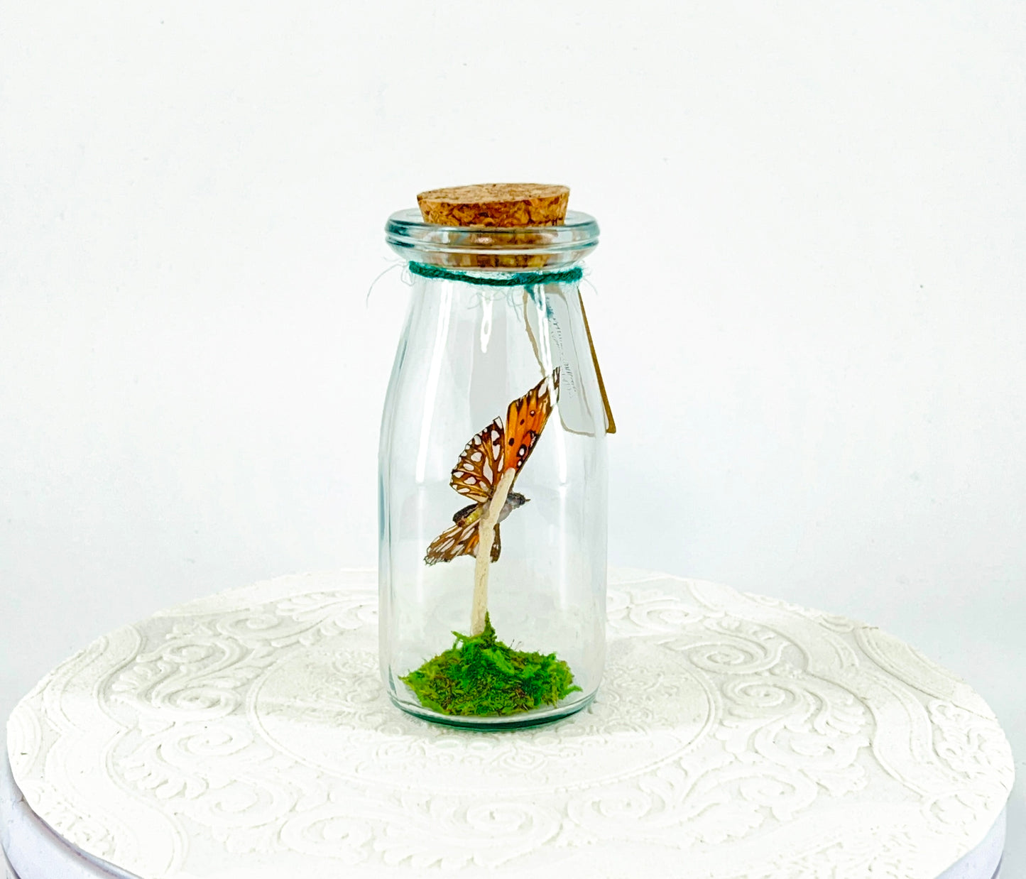 Accent Jar | Gulf Fritillary Butterfly | Metallic Silver Spots | Tabletop Display
