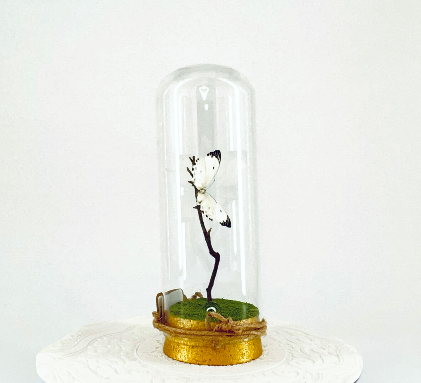 Pendant | Calypso Butterfly | White w/ Black Spots | Tabletop or Hanging Display