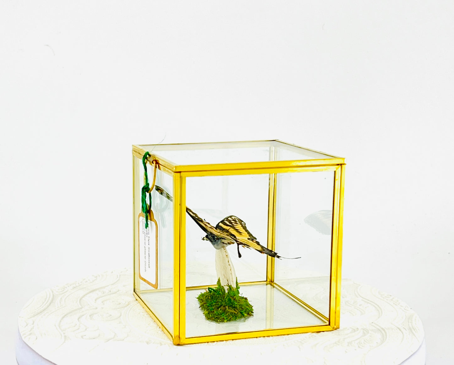 The Cube | Centerpiece | Eastern Tiger Swallowtail | Yellow Black Blue | Flutter by Katie Handmade Butterfly Sculpture Art | Home Decor | North America