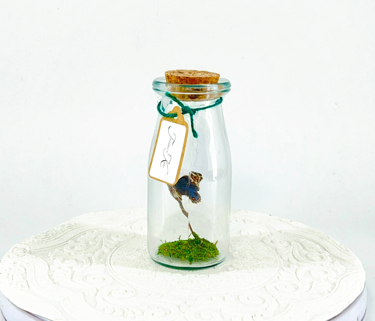 Accent  Jar | Blue Buckeye | Blue White Spotted | Tabletop Display