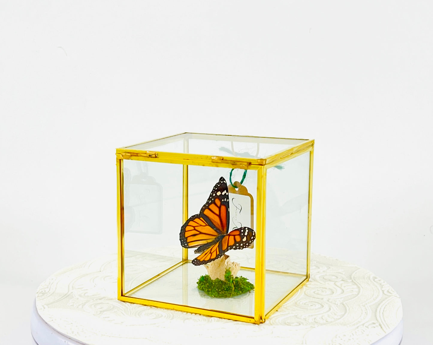 The Cube | Centerpiece | Monarch | Black Orange | Flutter by Katie Handmade Butterfly Sculpture Art | Home Decor | North America