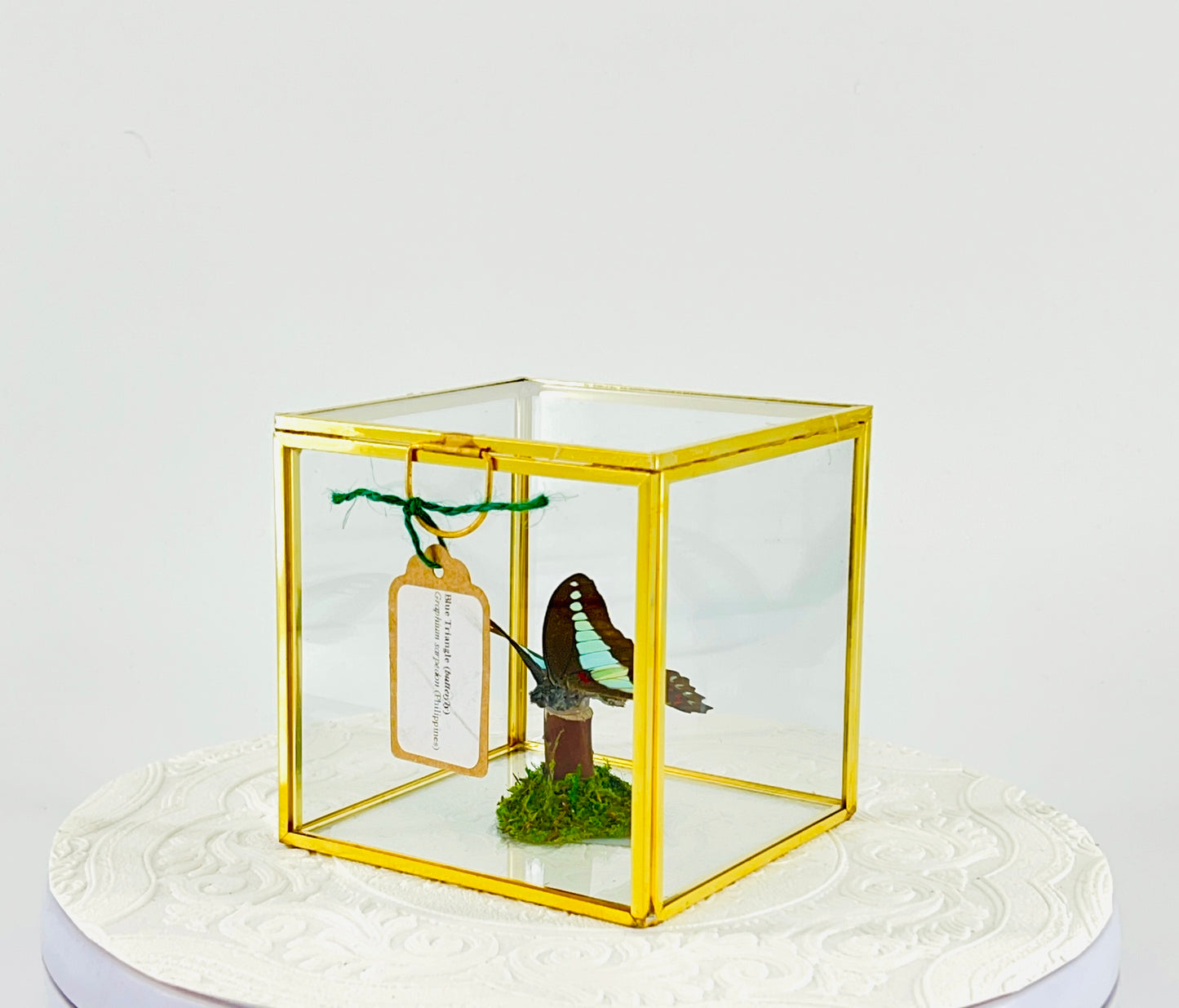 The Cube | Tabletop Centerpiece | Blue Triangle | Light Blue | Flutter by Katie Butterfly Display | Handmade | Real Butterflies | Home Decor | Philippines