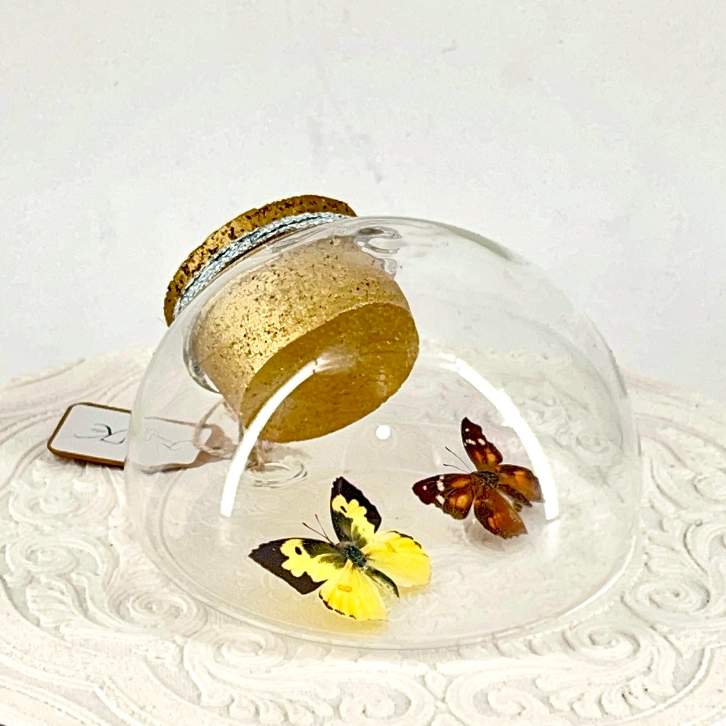 Droplet | California Dogface & American Snout Butterflies | Yellow Black Orange Brown Spots | Tabletop or Wall Hanging Display