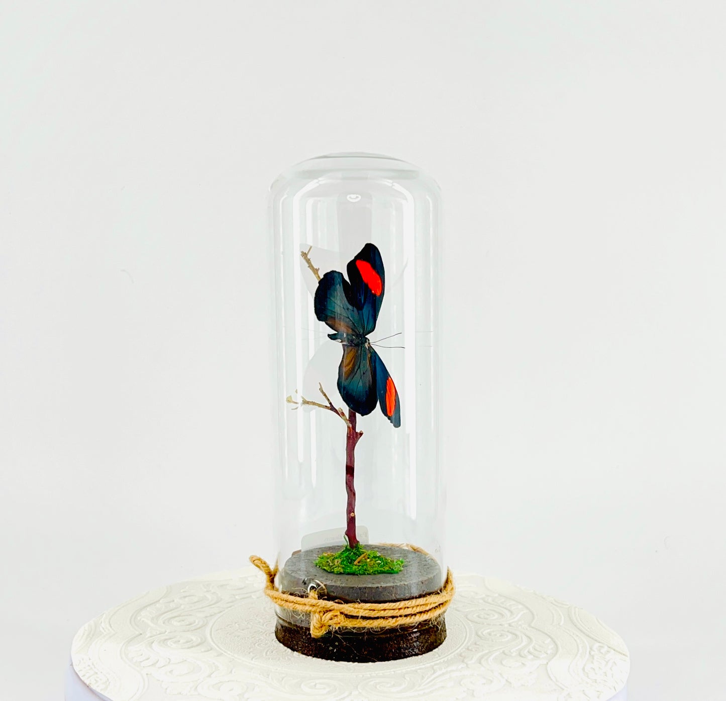Pendant | Hanging or Tabletop Centerpiece | Painted Beauty | Pink Blue Black Yellow | Flutter by Katie | Butterfly Display | Sculpture Art | Handmade | Home Decor | Peru