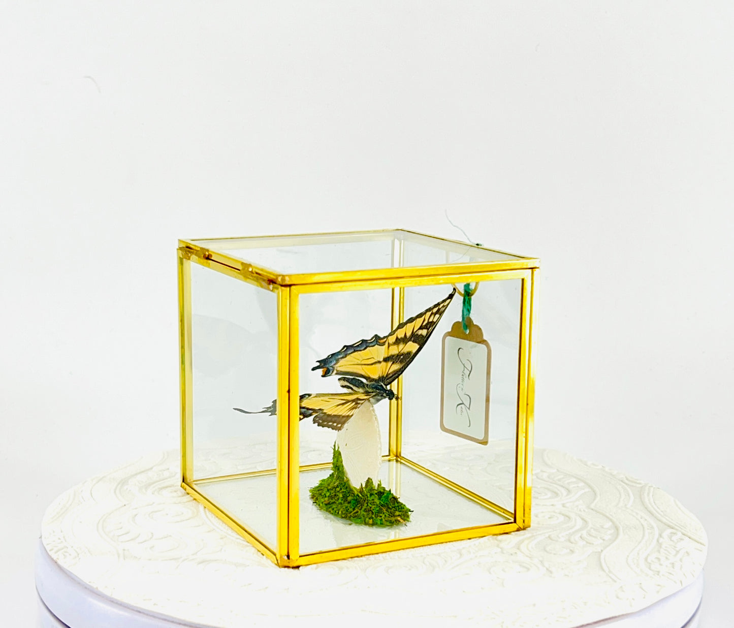 The Cube | Centerpiece | Eastern Tiger Swallowtail | Yellow Black Blue | Flutter by Katie Handmade Butterfly Sculpture Art | Home Decor | North America