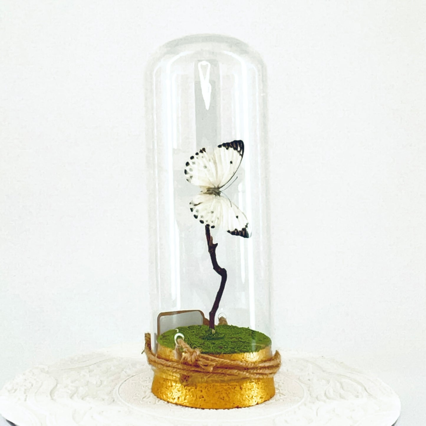 Pendant | Calypso Butterfly | White w/ Black Spots | Tabletop or Hanging Display