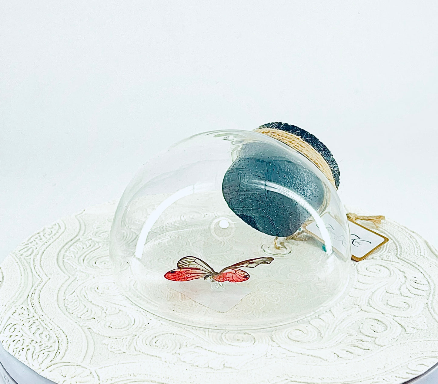 Droplet | Pink Glasswing | Pink Translucent | Tabletop or Wall Hanging Display