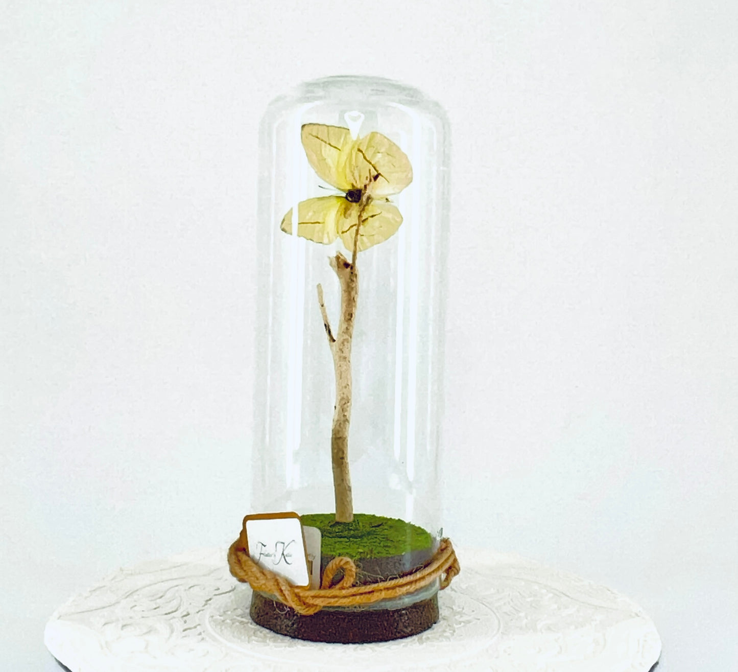 Pendant | Buttercup Butterfly | Pale Yellow | Tabletop or Hanging Display