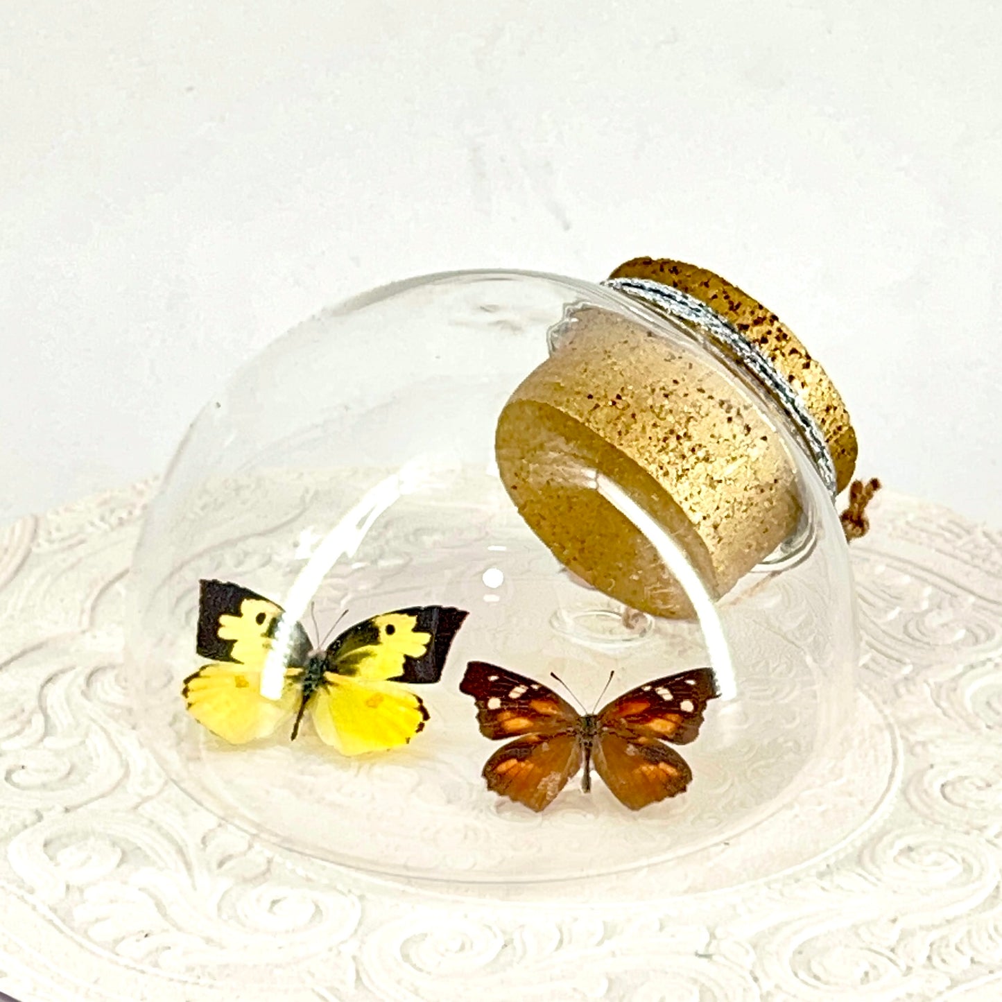 Droplet | California Dogface & American Snout Butterflies | Yellow Black Orange Brown Spots | Tabletop or Wall Hanging Display