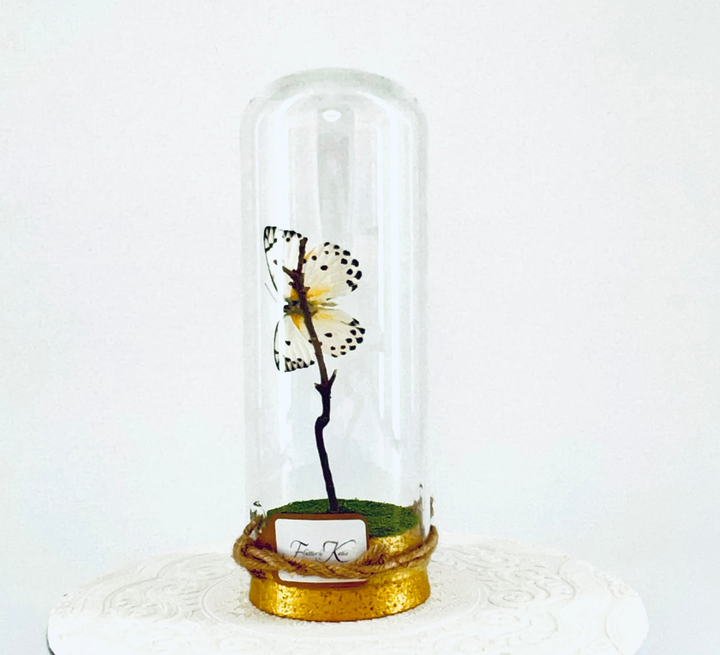 Pendant | Calypso Butterfly | White w/ Black Spots | Tabletop or Hanging Display