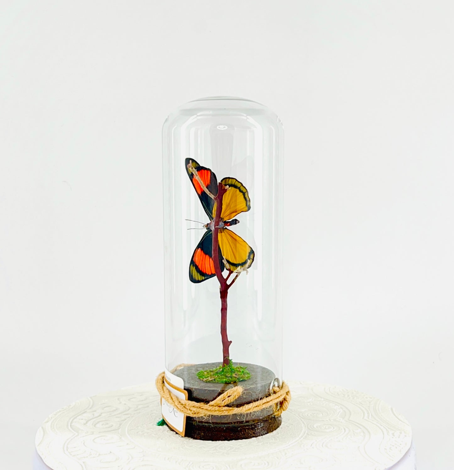Pendant | Hanging or Tabletop Centerpiece | Painted Beauty | Pink Blue Black Yellow | Flutter by Katie | Butterfly Display | Sculpture Art | Handmade | Home Decor | Peru