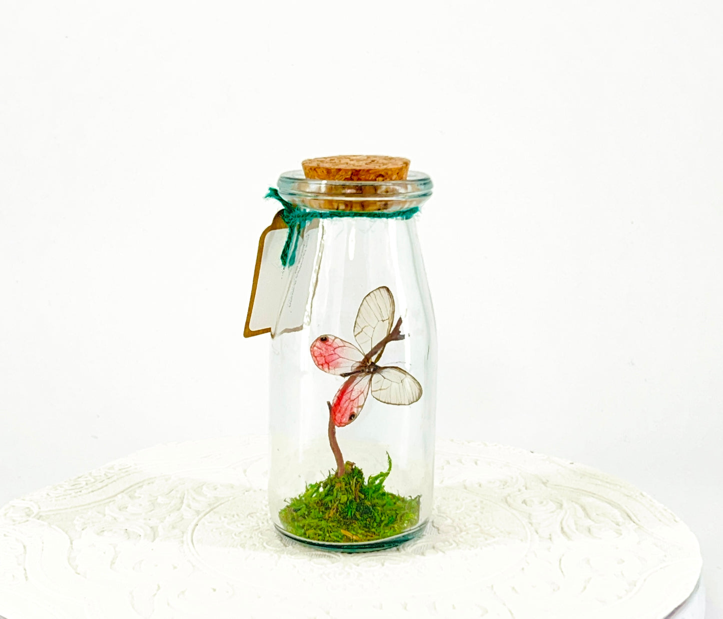 Accent Jar | Pink Glasswing | Pink | Tabletop Display