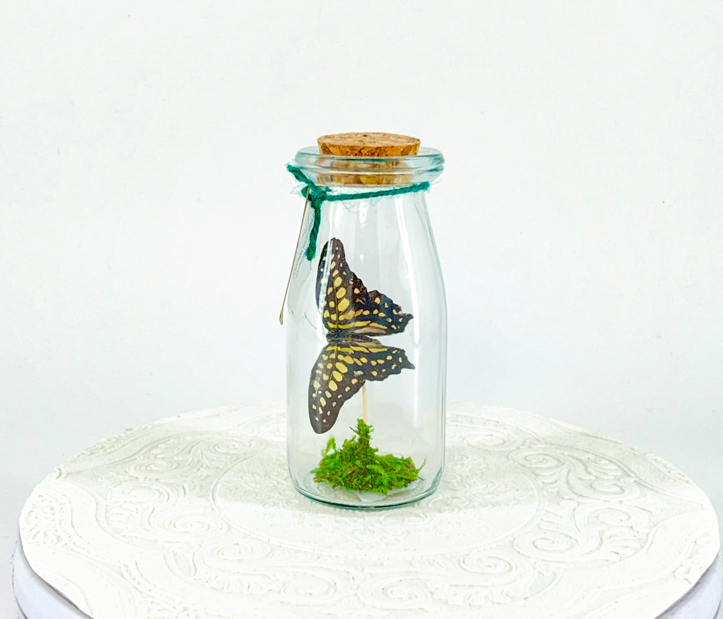 Accent Jar | Agamemnon | Green Black | Tabletop Display