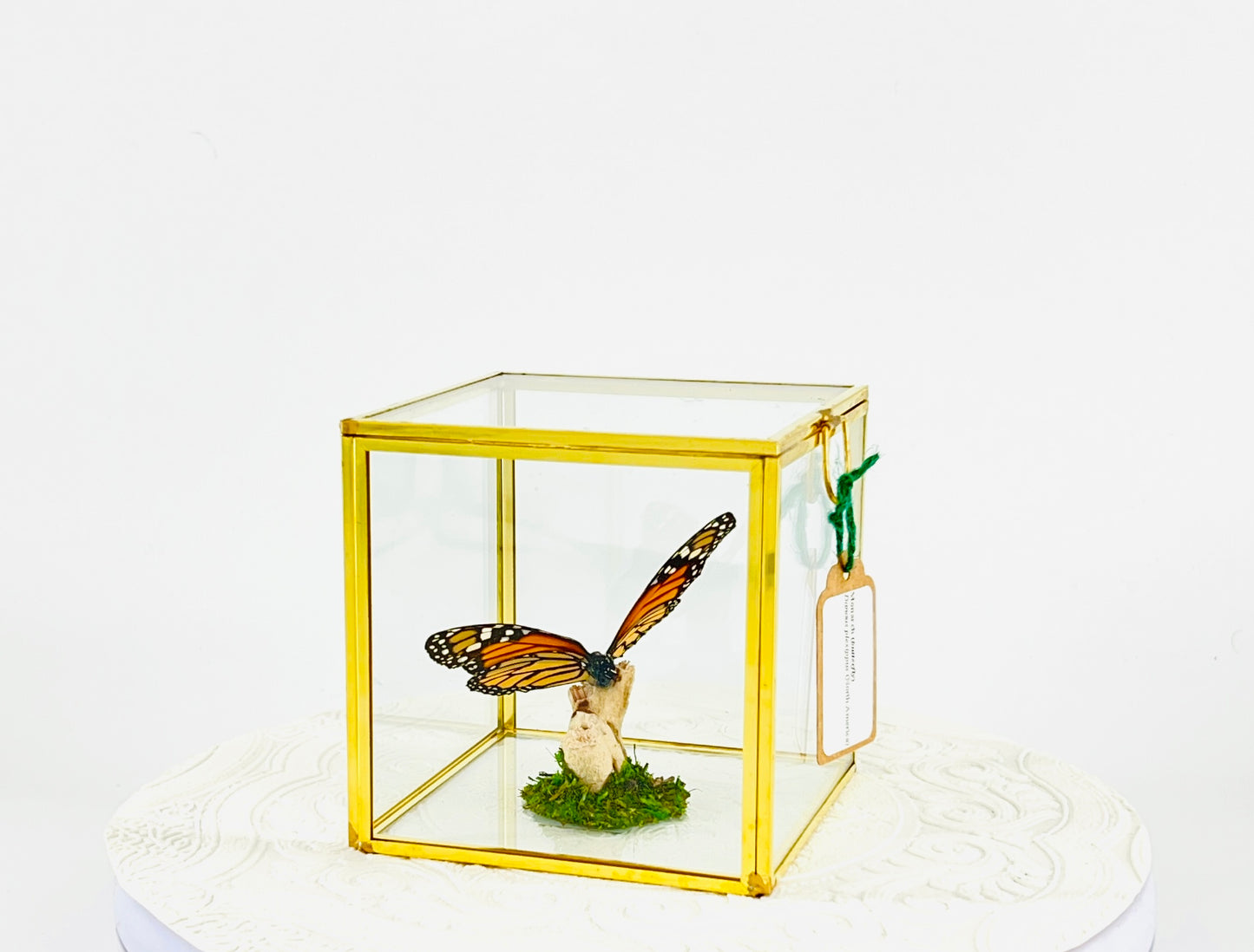 The Cube | Centerpiece | Monarch | Black Orange | Flutter by Katie Handmade Butterfly Sculpture Art | Home Decor | North America