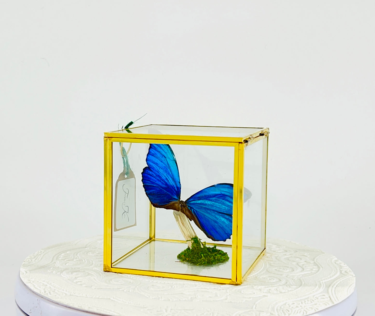 The Cube | Tabletop | Blue Morpho | Blue | Flutter by Katie Handmade Butterfly Sculpture Art | Home Decor | Guyana