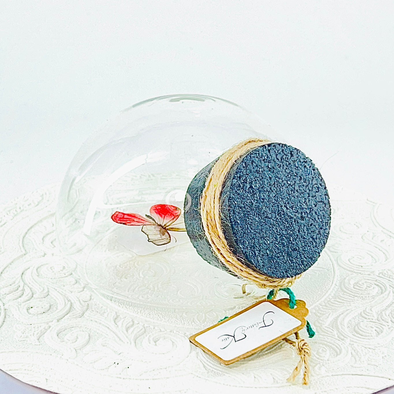 Droplet | Pink Glasswing | Pink Translucent | Tabletop or Wall Hanging Display