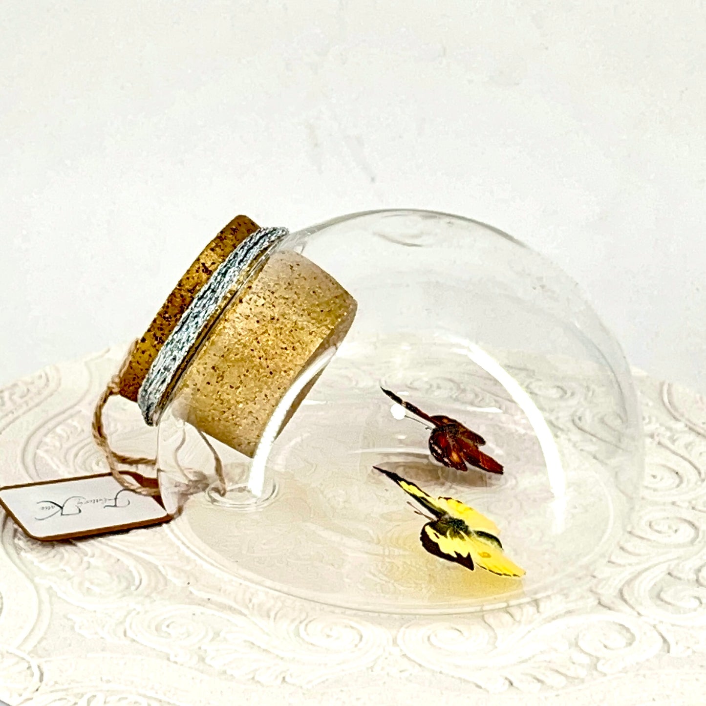 Droplet | California Dogface & American Snout Butterflies | Yellow Black Orange Brown Spots | Tabletop or Wall Hanging Display