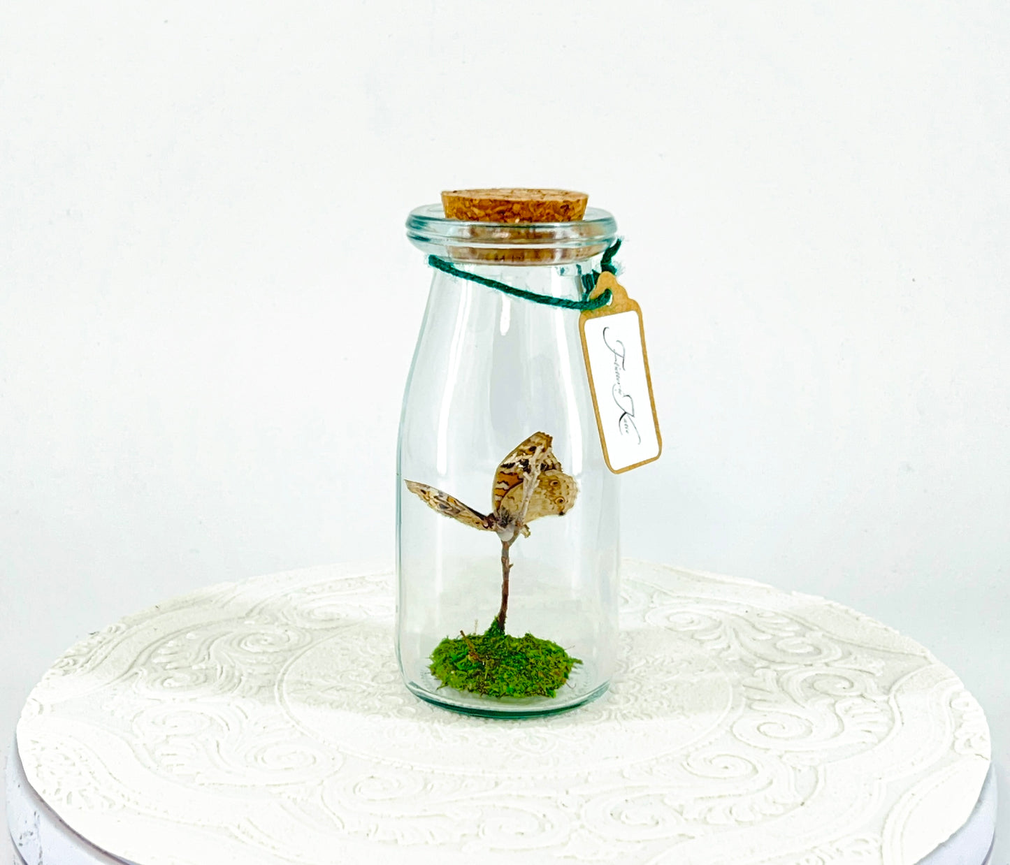 Accent  Jar | Blue Buckeye | Blue White Spotted | Tabletop Display