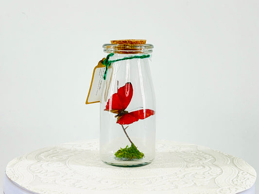 Accent Jar | Red Glider | Red | Tabletop Display