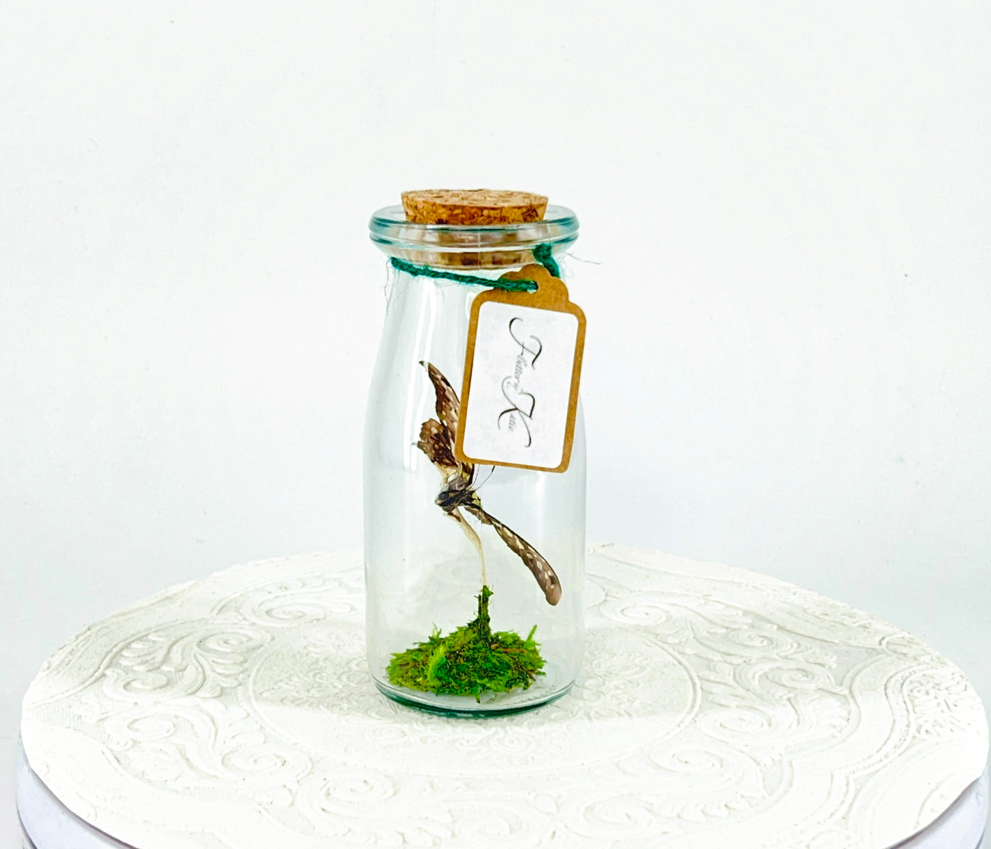 Accent Jar | Agamemnon | Green Black | Tabletop Display