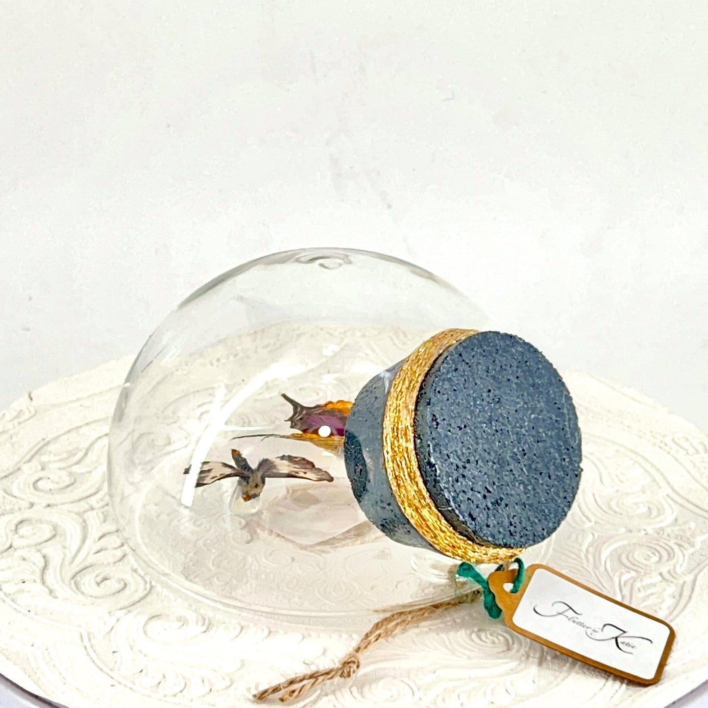 Droplet | Corinna Daggerwing & Tricolor Buckmoth | Butterfly | Moth | Orange Purple Brown White | Tabletop or Wall Hanging Display