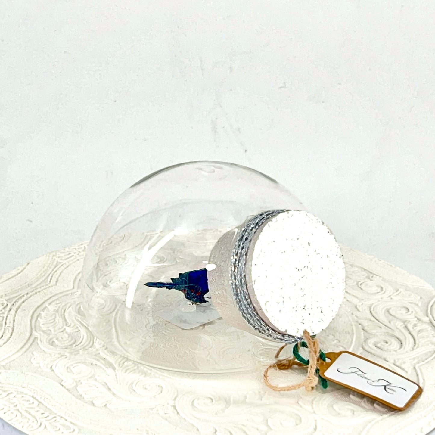 Droplet | Blue Glory Butterfly | Dark Blue Metallic Green | Tabletop or Wall Hanging Display