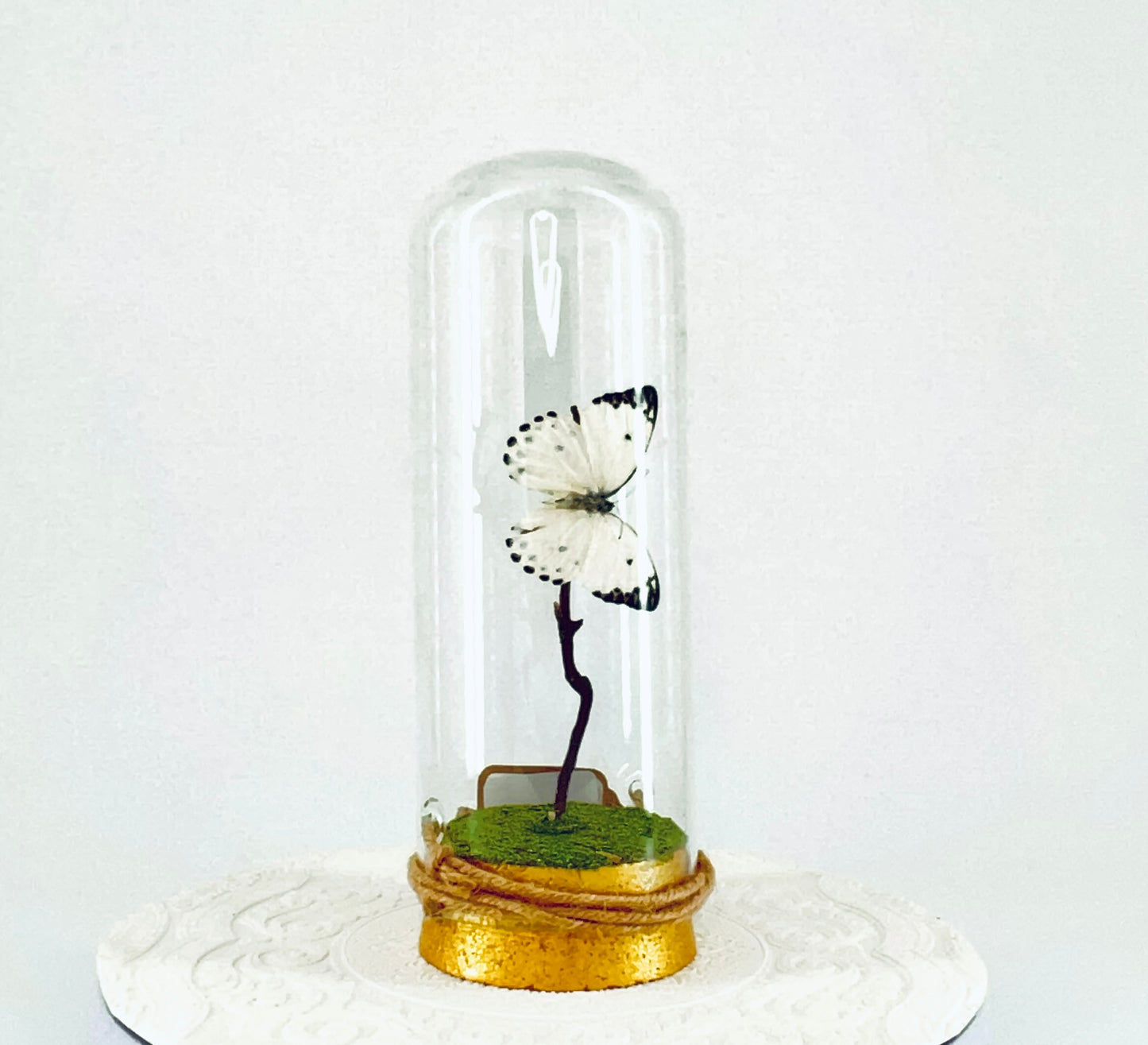 Pendant | Calypso Butterfly | White w/ Black Spots | Tabletop or Hanging Display
