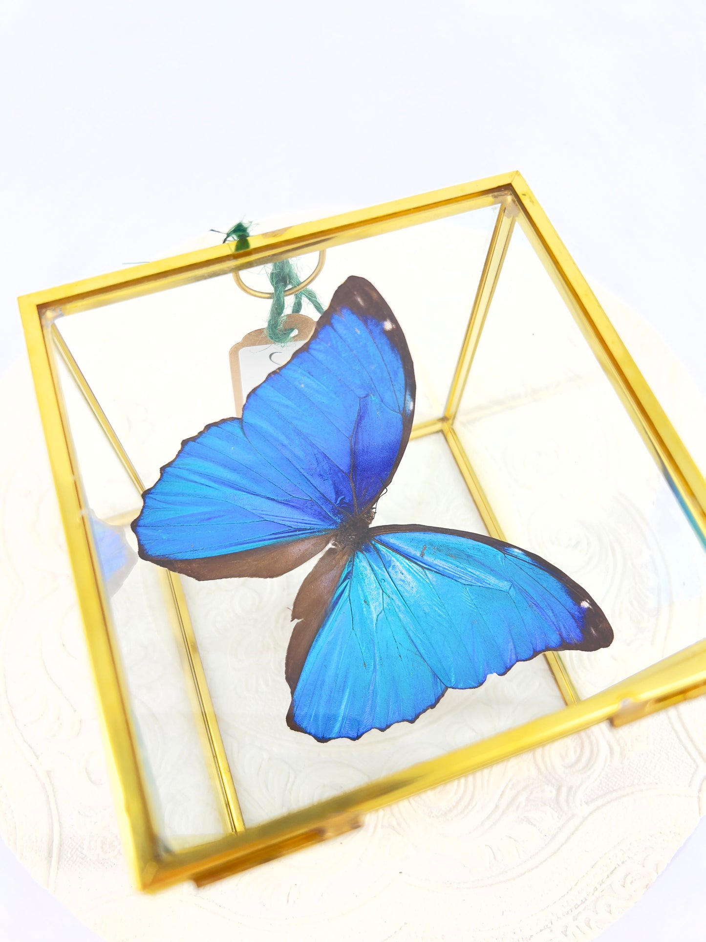 The Cube | Tabletop | Blue Morpho | Blue | Flutter by Katie Handmade Butterfly Sculpture Art | Home Decor | Guyana