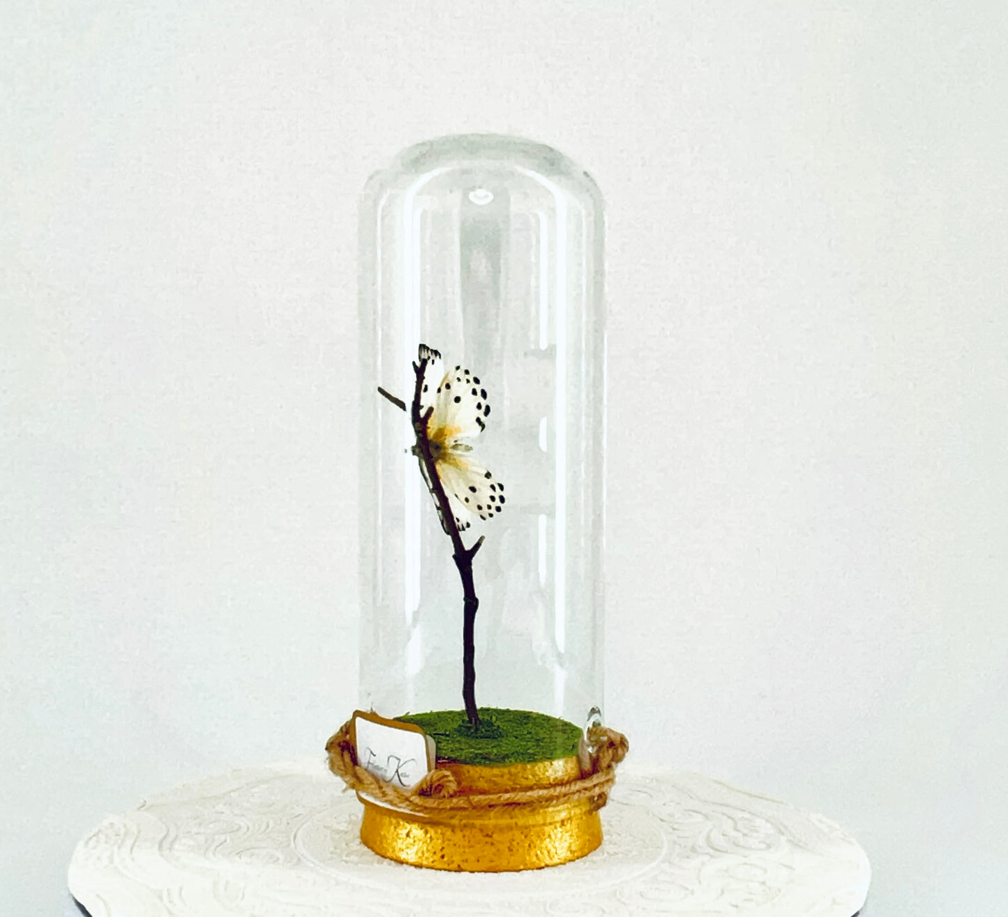 Pendant | Calypso Butterfly | White w/ Black Spots | Tabletop or Hanging Display
