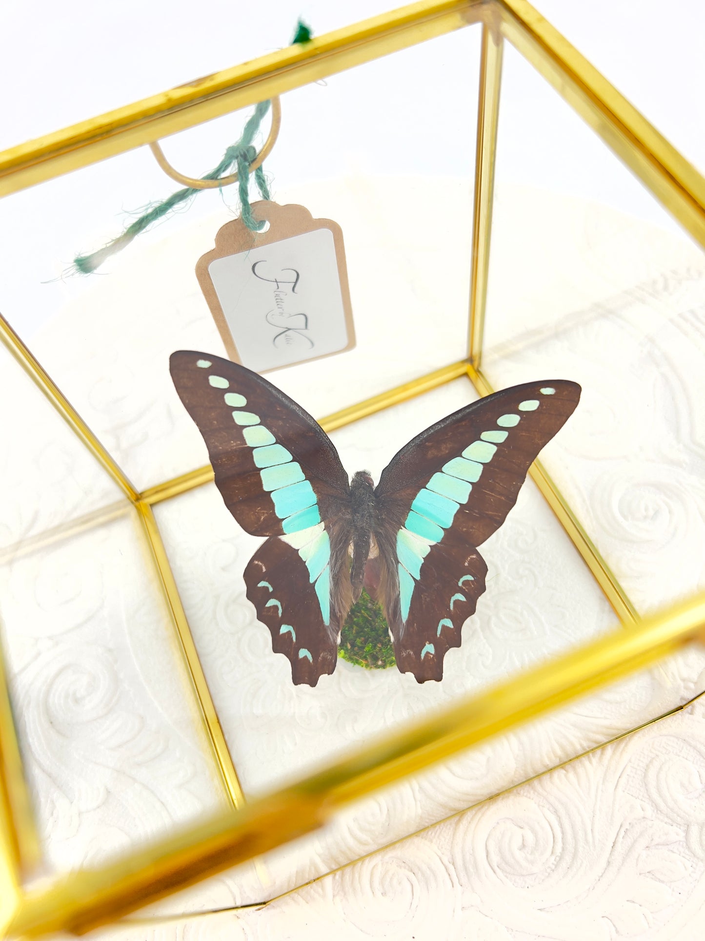 The Cube | Tabletop Centerpiece | Blue Triangle | Light Blue | Flutter by Katie Butterfly Display | Handmade | Real Butterflies | Home Decor | Philippines