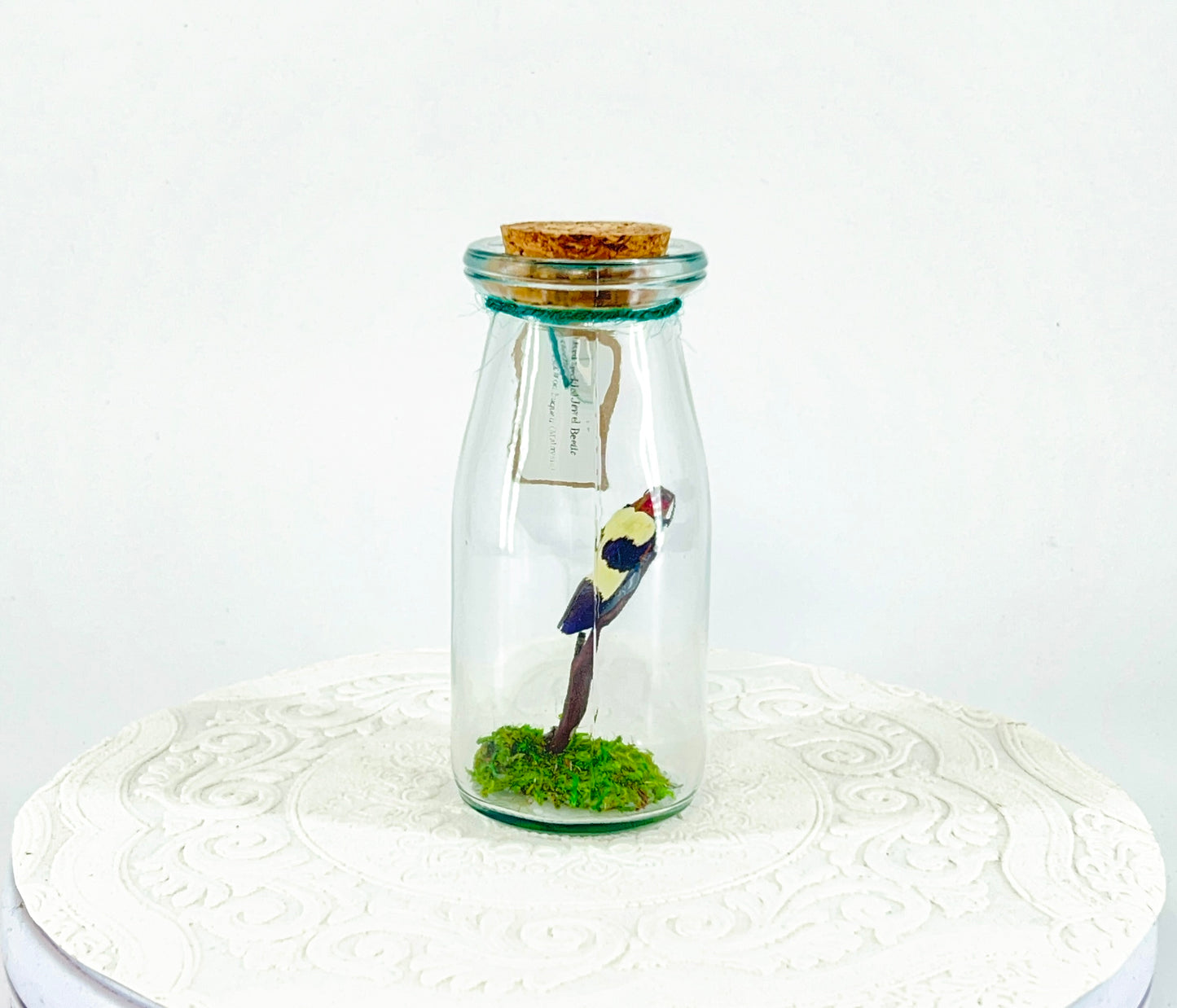 Accent Jar | Red Speckled Jewel Bettle | Red Yellow Blue | Tabletop Display