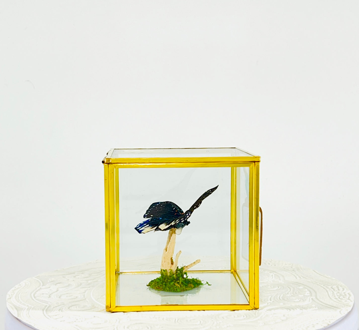 The Cube | Tabletop | Galaxy Moth | Centerpiece | Blue Black White | Flutter by Katie Handmade Butterfly Sculpture Art | Home Decor | Indonesia