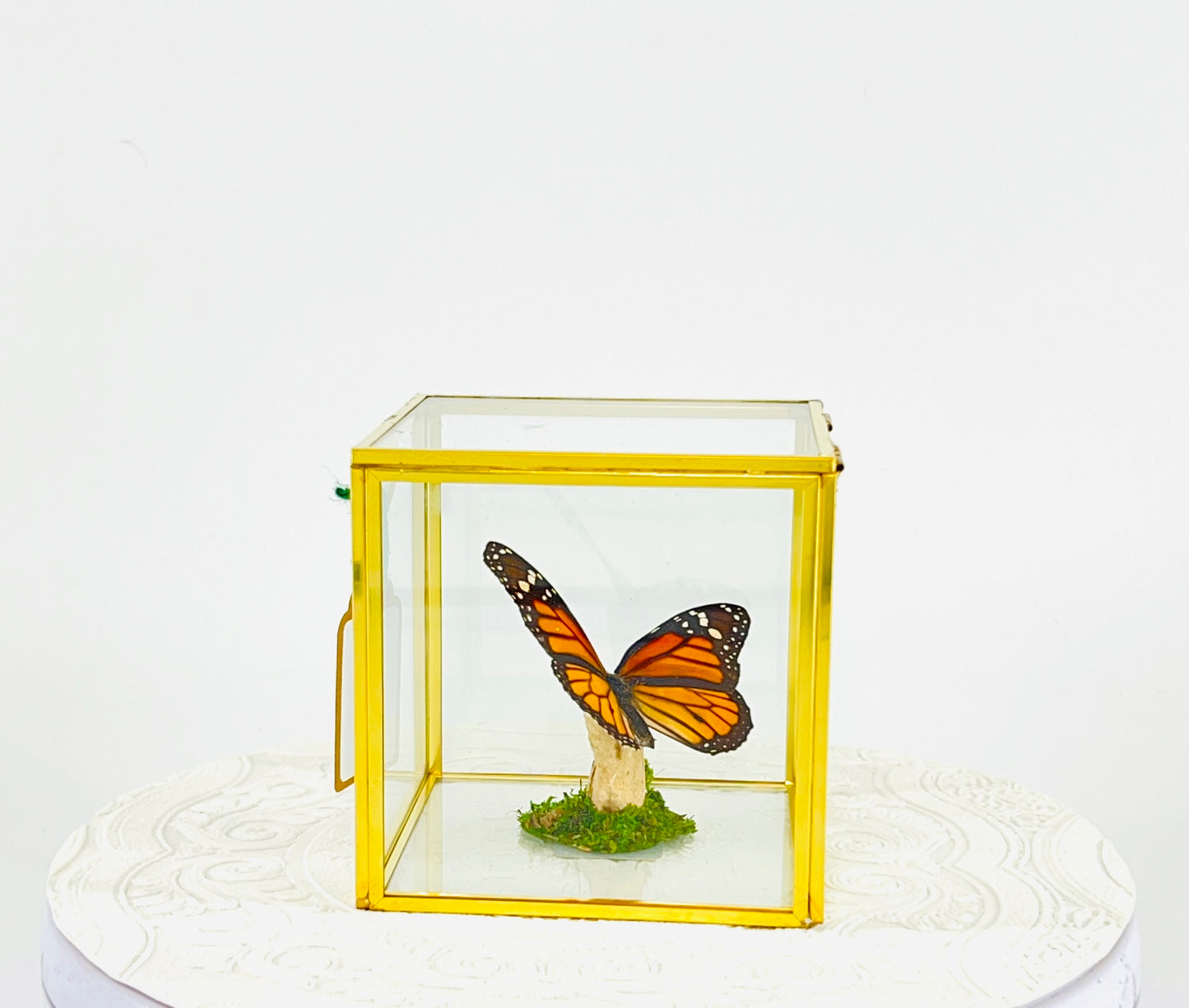 The Cube | Centerpiece | Monarch | Black Orange | Flutter by Katie Handmade Butterfly Sculpture Art | Home Decor | North America