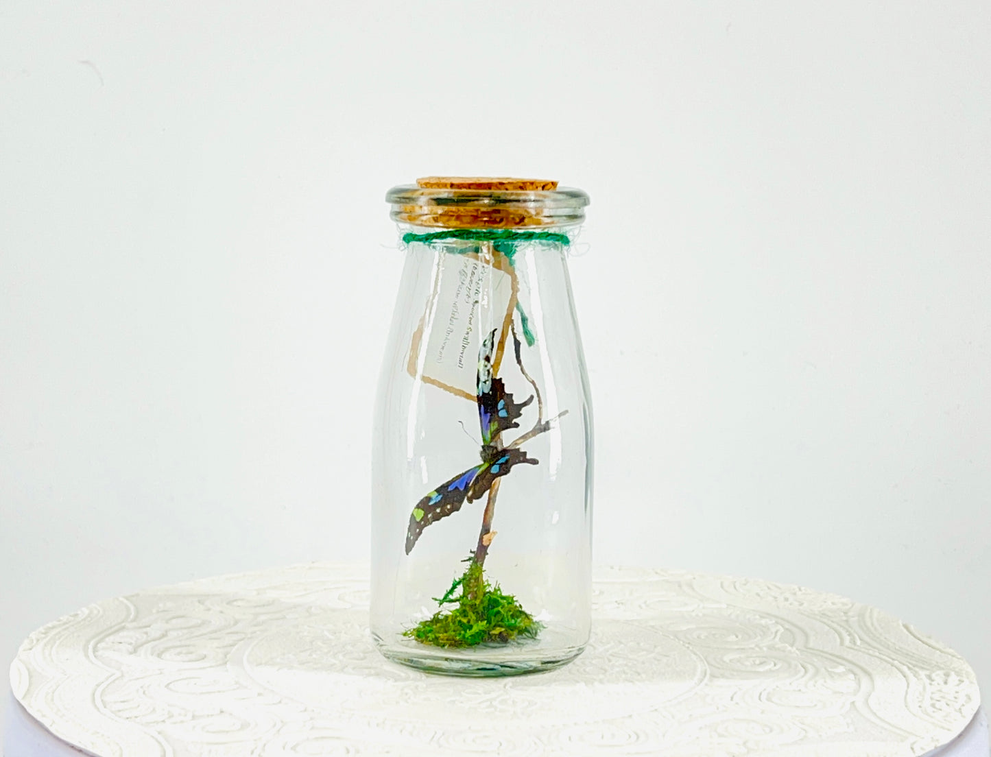 Accent | Centerpiece | Purple Spotted Swallowtail | Purple Green Blue Black | Flutter by Katie Butterfly Display | Handmade | Real Butterflies | Home Decor | Indonesia