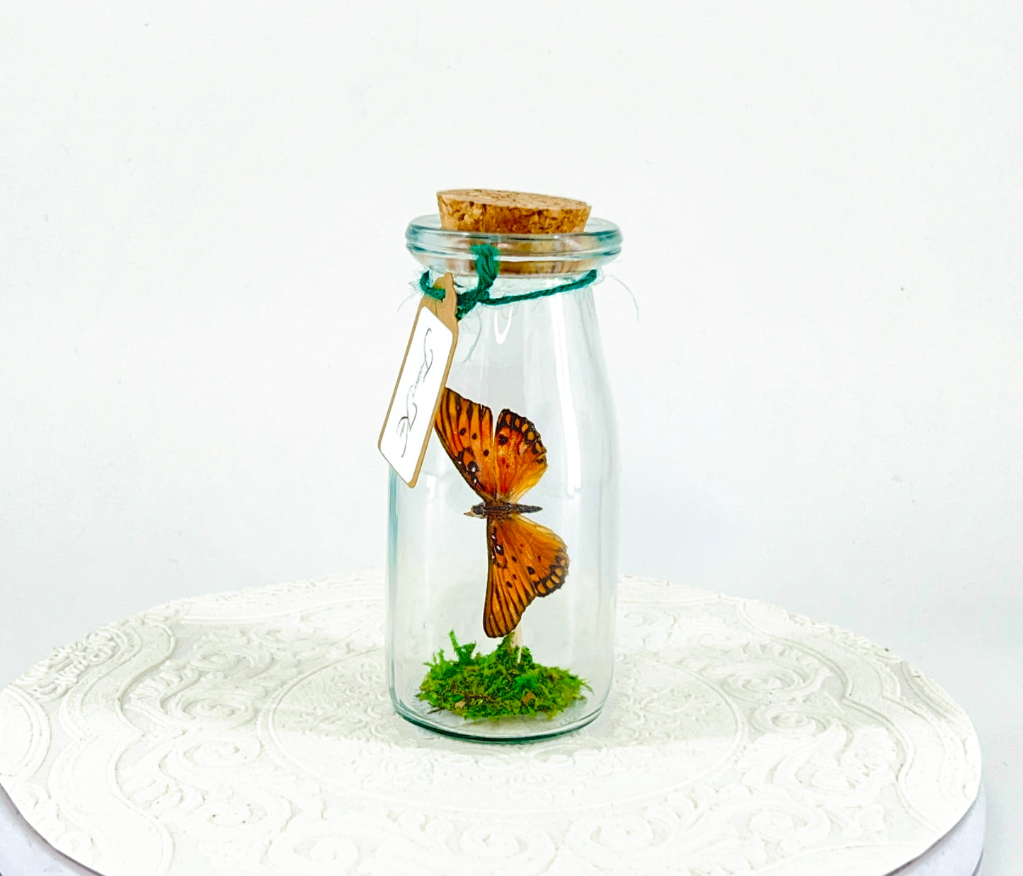 Accent Jar | Gulf Fritillary Butterfly | Metallic Silver Spots | Tabletop Display