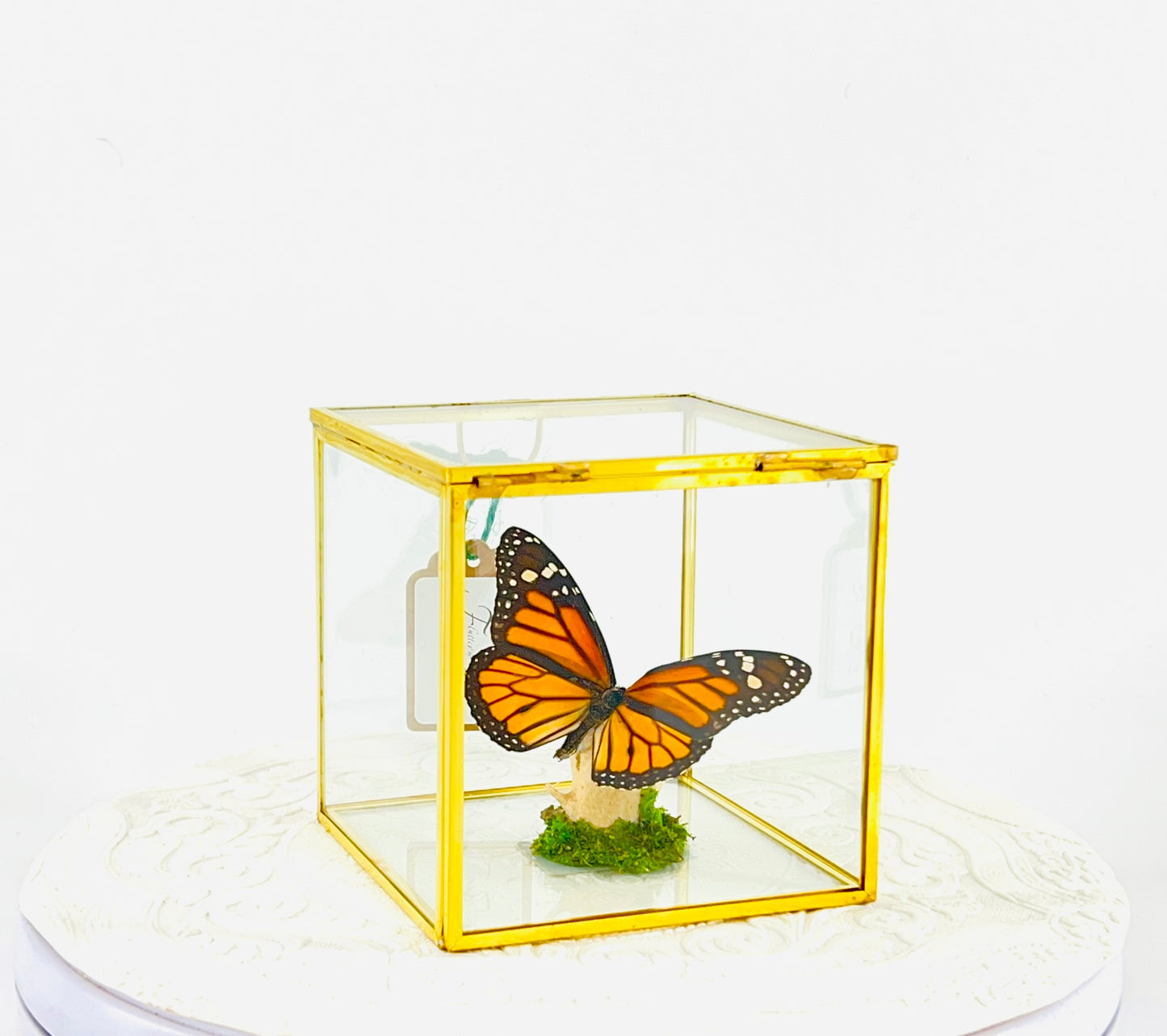 The Cube | Centerpiece | Monarch | Black Orange | Flutter by Katie Handmade Butterfly Sculpture Art | Home Decor | North America