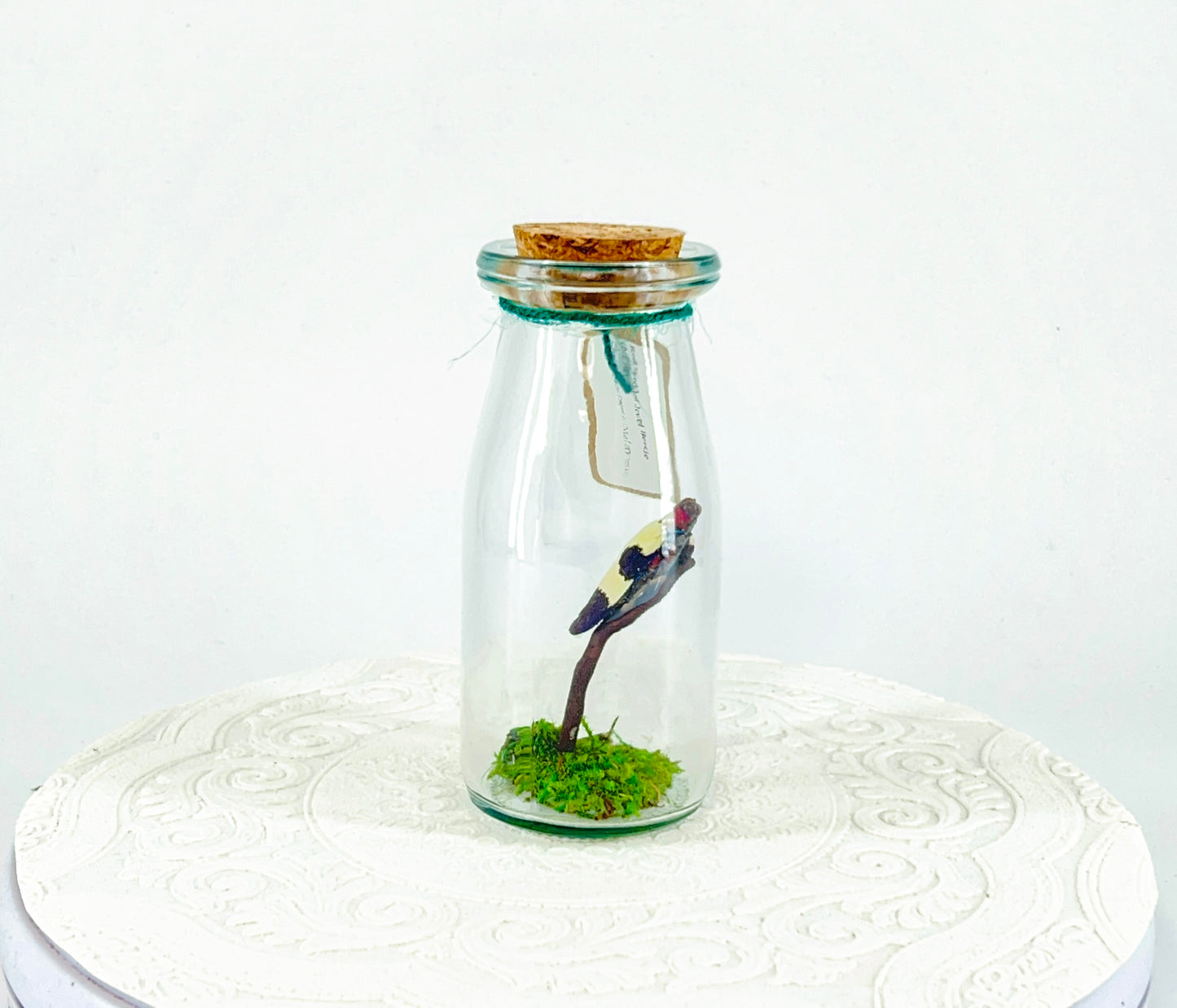 Accent Jar | Red Speckled Jewel Bettle | Red Yellow Blue | Tabletop Display