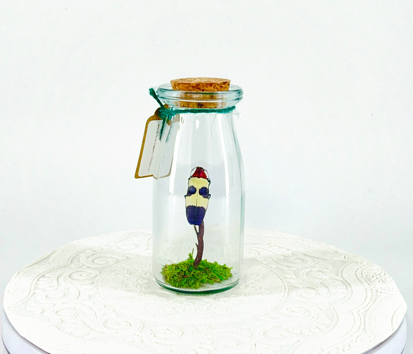 Accent Jar | Red Speckled Jewel Bettle | Red Yellow Blue | Tabletop Display