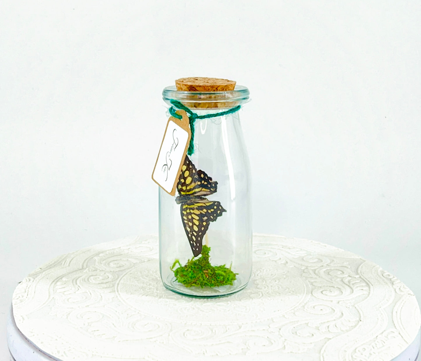 Accent Jar | Agamemnon | Green Black | Tabletop Display