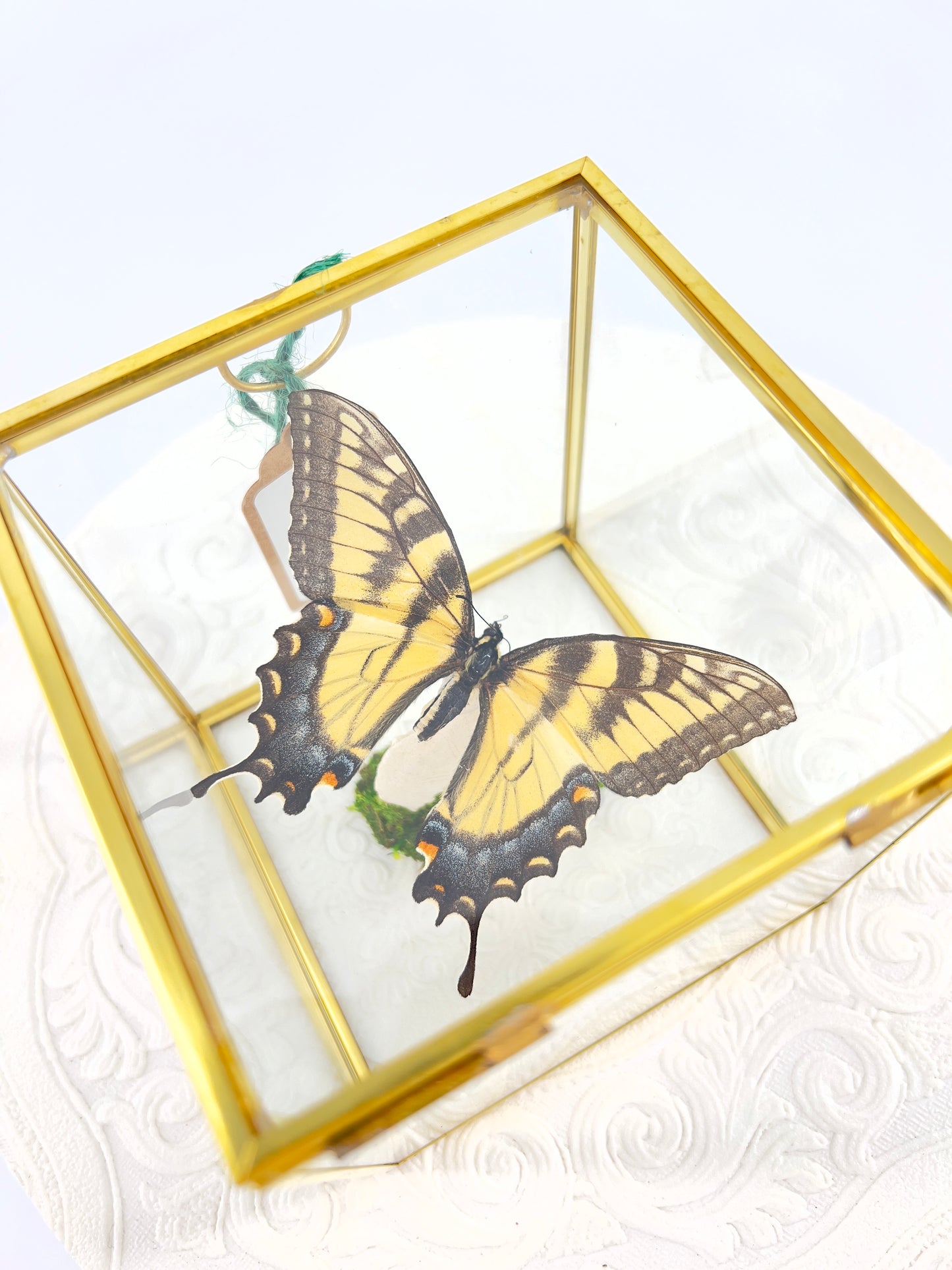 The Cube | Centerpiece | Eastern Tiger Swallowtail | Yellow Black Blue | Flutter by Katie Handmade Butterfly Sculpture Art | Home Decor | North America