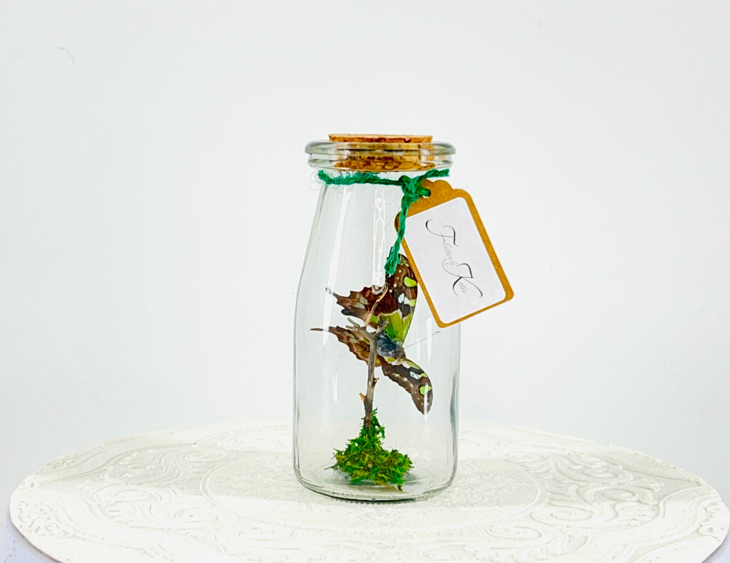 Accent | Centerpiece | Purple Spotted Swallowtail | Purple Green Blue Black | Flutter by Katie Butterfly Display | Handmade | Real Butterflies | Home Decor | Indonesia