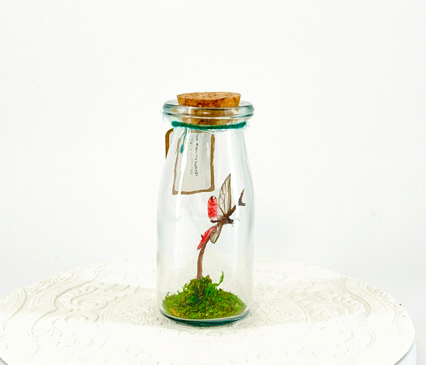 Accent Jar | Pink Glasswing | Pink | Tabletop Display